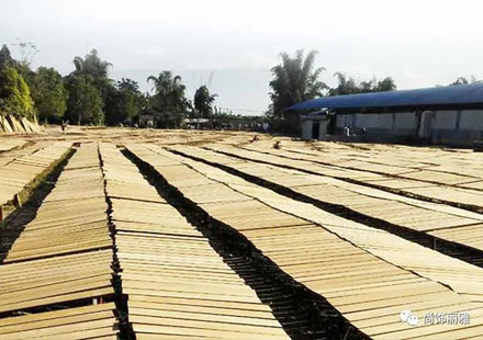 奥德赛\艾力绅全新改装方案隆重发布