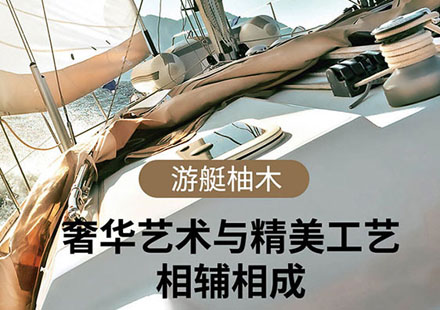 尚饰丽雅带你一起围观国产商务车之王-别克GL8陆尊653T